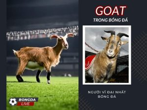 the goat là gì trong bóng đá